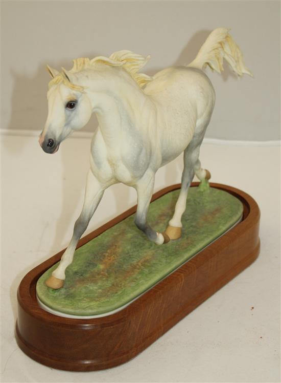 A Royal Worcester model of an Arab Stallion, modelled by Doris Lindner, c.1963, 29.5cm